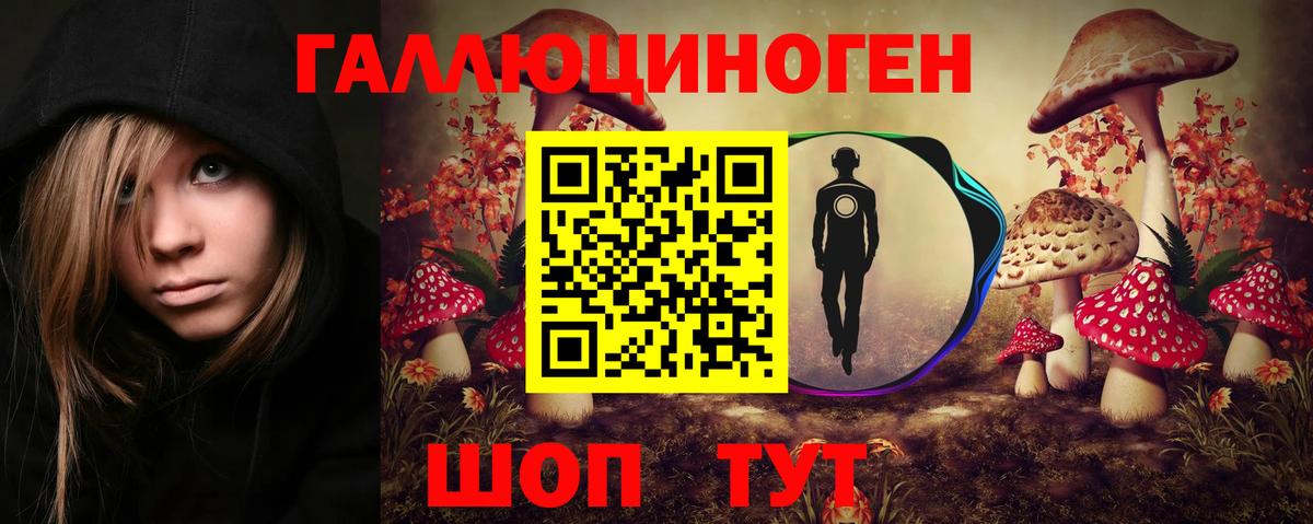 Псилоцибиновые грибы Psilocybine cubensis Красноуфимск