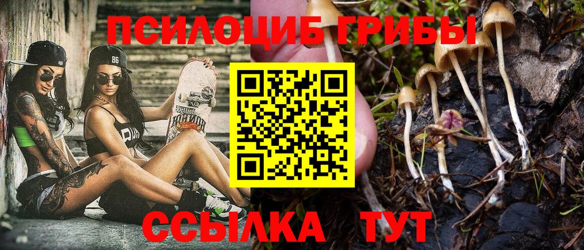 Галлюциногенные грибы Magic Shrooms  Вход с VPN  Красноуфимск 
